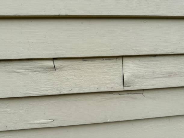 Best Custom Siding Design  in Bay Point, CA